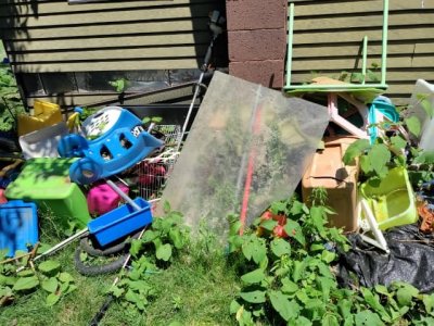 Spring Cleanup Spring Cleanup